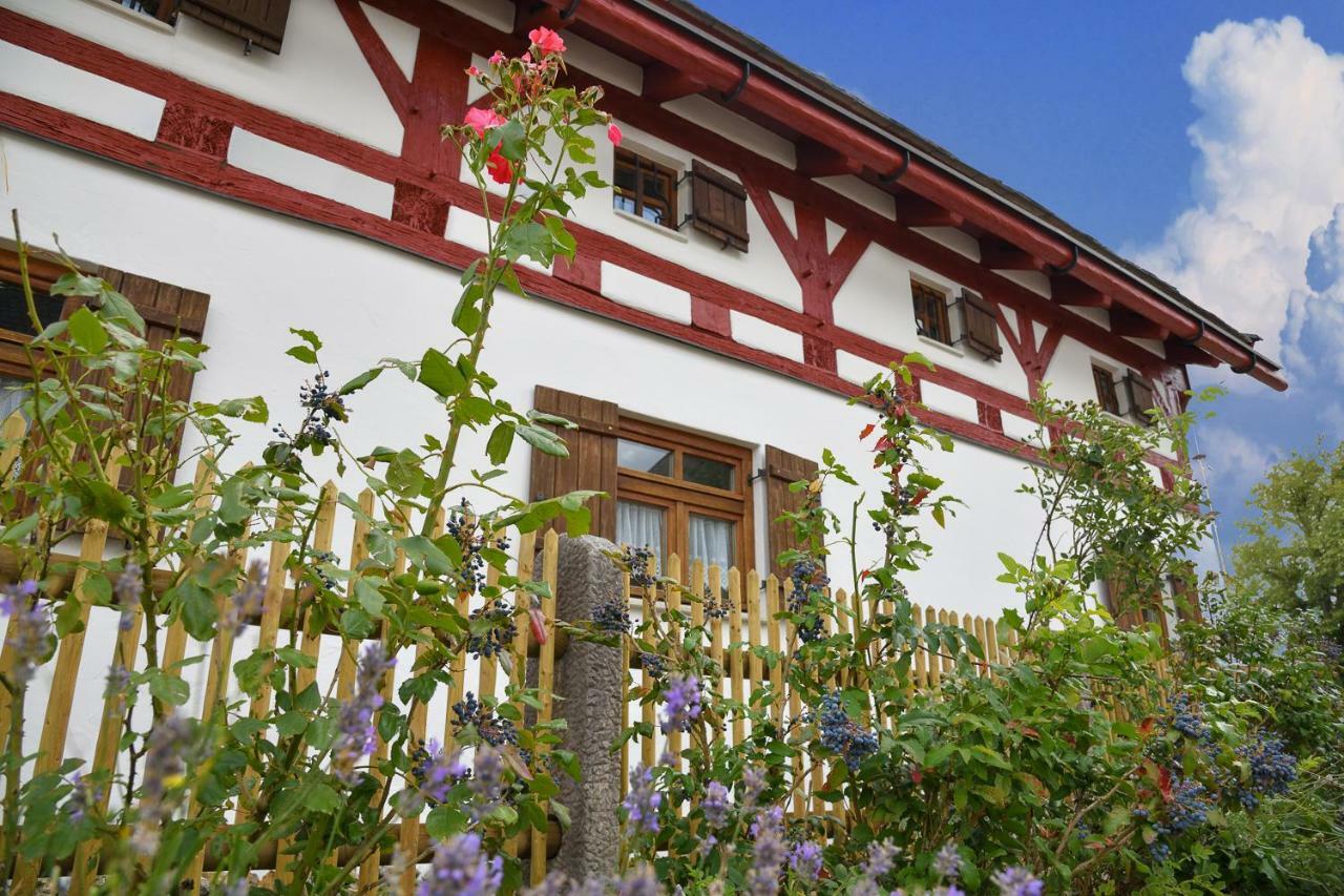 Jurahaus Hirschberg Apartment Beilngries Luaran gambar